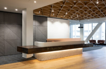 EQUITONE Interior Panels